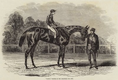 Nancy, Goodwood Cupin voittaja, 1851 tekijältä Benjamin Herring