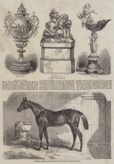 Ascot Cup tekijältä Benjamin Herring