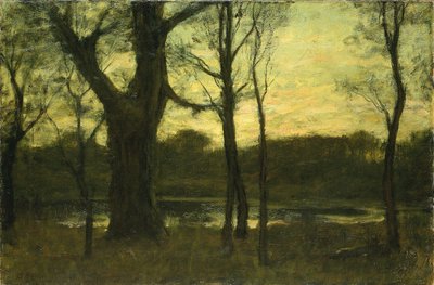 Uima-allas metsässä tekijältä Benjamin Rutherford Fitz