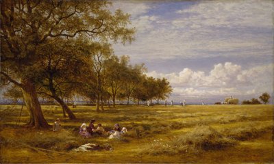 Englantilainen heinäkenttä, 1878. tekijältä Benjamin Williams Leader