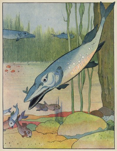 Kalastaa tekijältä Benjamin Rabier
