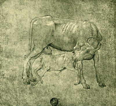 Lehmä ja vasikka, 1400-luvun puoliväli, loppu, 1943. tekijältä Benozzo Gozzoli