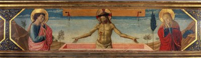 Tuntematon kuva tekijältä Benozzo di Lese di Sandro Gozzoli