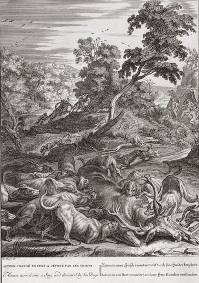 Actaeon muuttui hirvieläinksi, ja hänen koiransa söivät sen vuonna 1731 tekijältä Bernard Picart