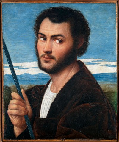 Miehen muotokuva par Licinion, Bernardino (n. 1489-n. 1565). Öljy kankaalle, koko: 32x25,5, 1500-luvun ensimmäinen puolisko, Fondazione Cini, Venezia tekijältä Bernardino Licinio
