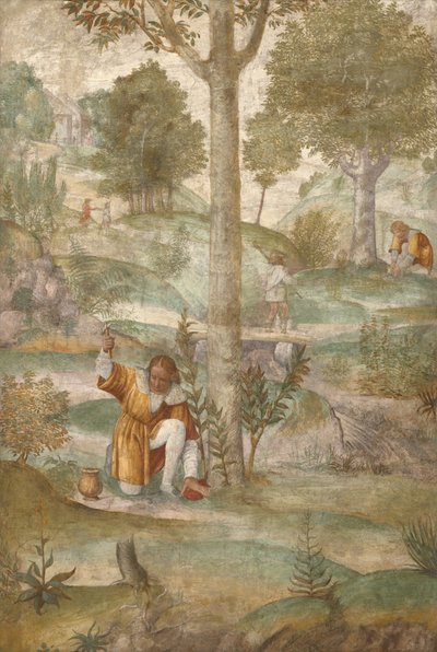 Kefalos piilottaa jalokivet tekijältä Bernardino Luini