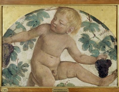 Sadonkorjuuputti - Putto pergolan alla, n. 1514 (irrotettu fresko aluksella) tekijältä Bernardino Luini