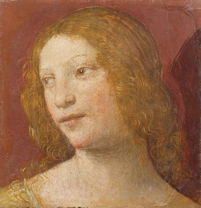 Nuoren naisen johtaja tekijältä Bernardino Luini