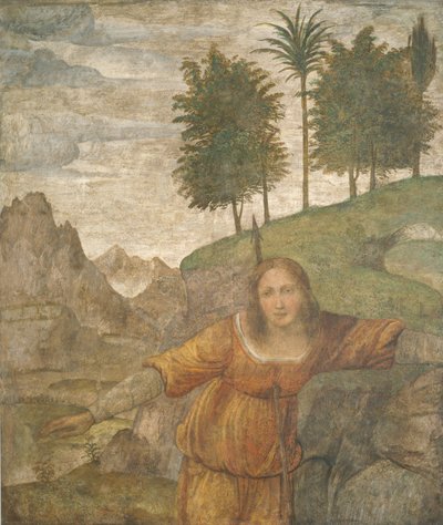 Procris lävistetty Kefaloksen keihään, n. 15201522. tekijältä Bernardino Luini