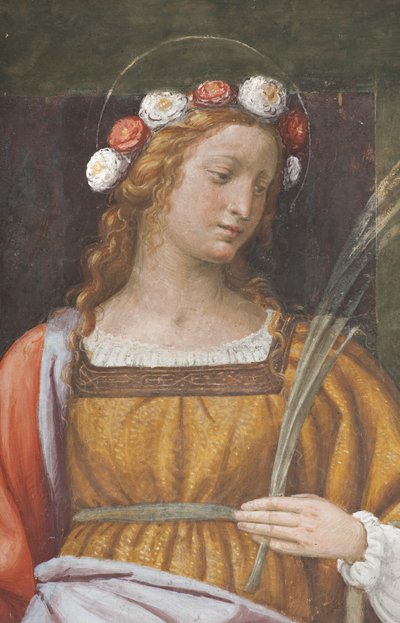 Saint Rose (numero 3497195) tekijältä Bernardino Luini