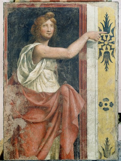 Sibyl tekijältä Bernardino Luini