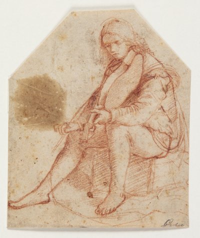 Istuva nuoriso alttoviululla tekijältä Bernardino Luini