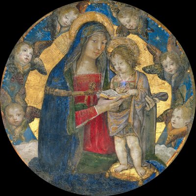 Madonna ja lapsi kerubien kanssa, 1492-1495. tekijältä Bernardino Pinturicchio