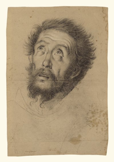 Pyhän Fransiskuksen pää (etusivu); tutkimuksia Pyhän Fransiskuksen päästä, vanhan miehen päästä ja kahdesta oikeasta kädestä (kääntöpuoli). tekijältä Bernardo Strozzi