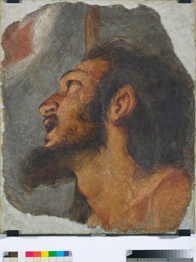 Pyhän Johannes Kastajan pääosa erillisestä freskosta, 1622 tekijältä Bernardo Strozzi