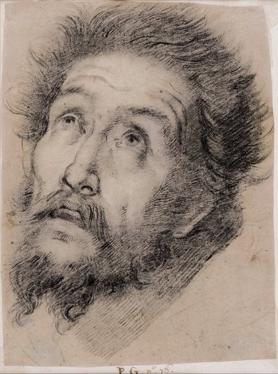 Tutkimus Pyhän Franciscus Assisilaisen ristin palvomisesta tekijältä Bernardo Strozzi