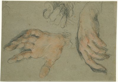 Tutkimus kolmesta kädestä, 1625-30 (mustaa ja punaista liitua paperille). tekijältä Bernardo Strozzi