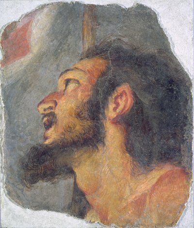 Pyhän Johannes Kastajan pää, fragmentti freskosta tekijältä Bernardo Strozzi