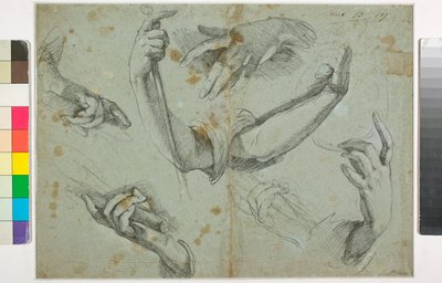 Tuntematon kuva tekijältä Bernardo Strozzi