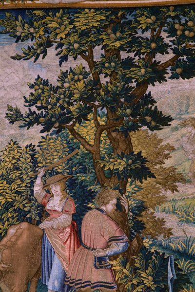 Flanderin kuvakudos. Sarja Rooman säätiö: Faustulus tapaa Romulun ja Remuksen. Sarjakuvapiirtäjä Barend van Orley (?). Brysselin valmistus. 1525-1530. Yksityiskohta. tekijältä Bernart van (attr. to) Orley