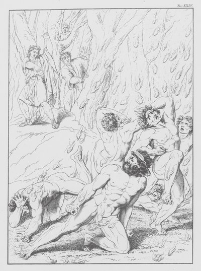 Danten jumalallinen komedia, Inferno (Helvetti), levy XXIV (litografia). tekijältä Bernhard Schuler