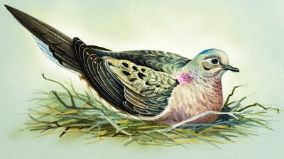 Surukyyhky (guassi paperille) tekijältä Bert Illoss