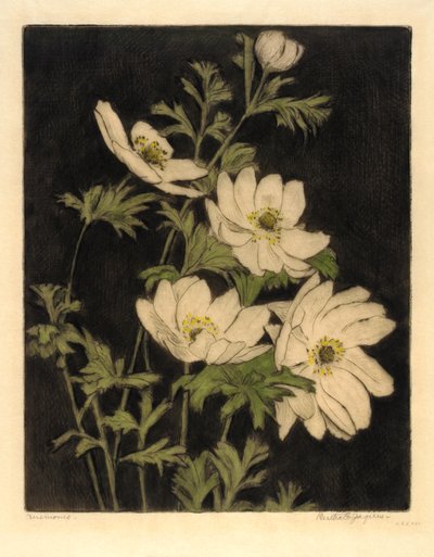 Anemones tekijältä Bertha E. Jaques