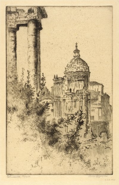 Pylväät, Forum Romanum tekijältä Bertha E. Jaques