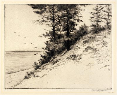 Duneland tekijältä Bertha E. Jaques