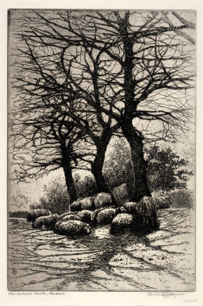 Hampstead Heath, Lontoo tekijältä Bertha E. Jaques
