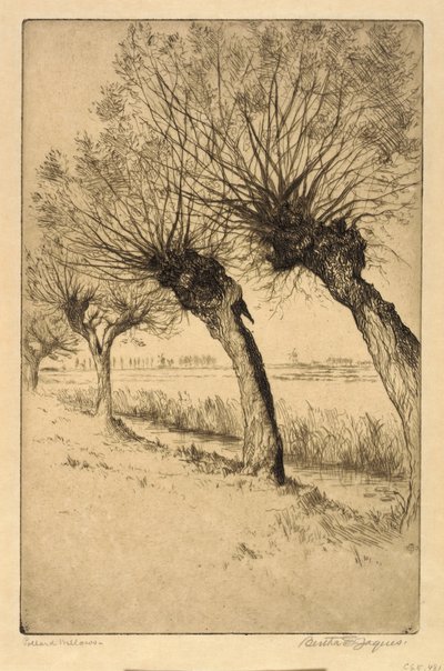 Pollard Willows, Rijsord, Alankomaat tekijältä Bertha E. Jaques