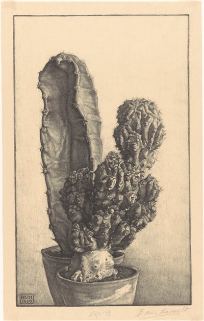 Caktussen (alkuperäinen nimi) tekijältä Bertha van Hasselt (signed by artist)