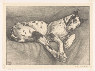 Acabat del gos dormint tekijältä Bertha van Hasselt (signed by artist)