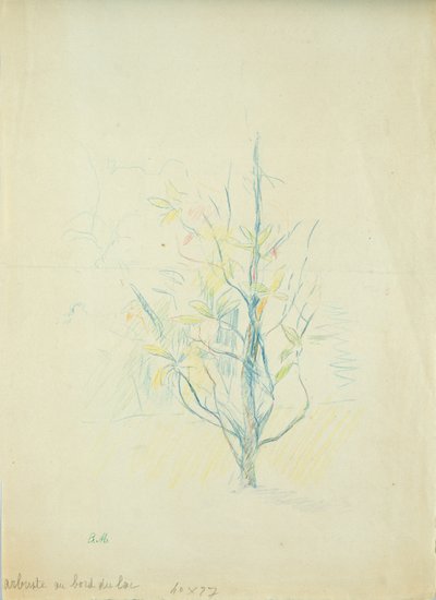 Pensaat järven rannalla, 1893 (värikynä paperille) tekijältä Berthe Morisot