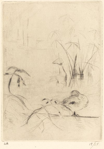 Ducks at Rest on the Bank tekijältä Berthe Morisot
