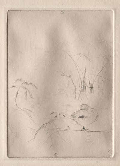 Ankka tekijältä Berthe Morisot