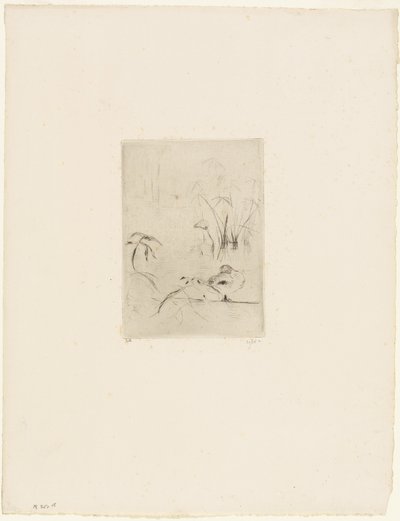 Ankka tekijältä Berthe Morisot
