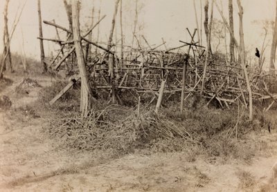 Albumi ensimmäisestä maailmansodasta Friuli-Venezia Giuliassa: puolustava este (friisihevoset), 05/1916 (b / v kuva) tekijältä Bertoni Bertoni