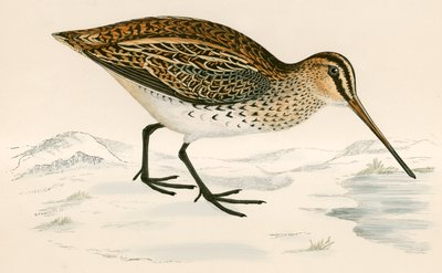 Taivaanvuohi tekijältä Beverley R. Morris