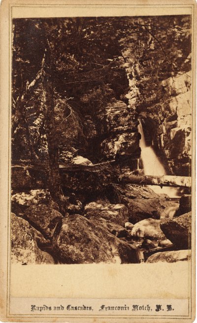 Rapids and Cascades, Franconia Notch, New Hampshire tekijältä Bierstadt Brothers