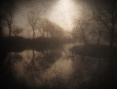 Sumuisen metsän heijastus tekijältä Bill Eiffert