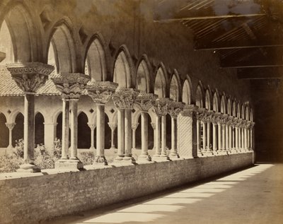 Moissac Cloister tekijältä Bisson Frères