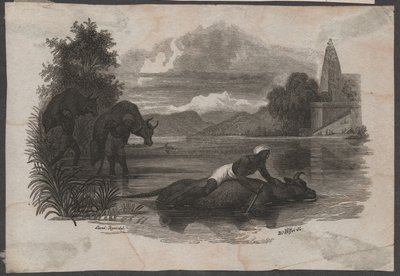 Maanviljelijät kantavat kuollutta karjaa, n. 1850 (kaiverrus). tekijältä Blasius Höfel