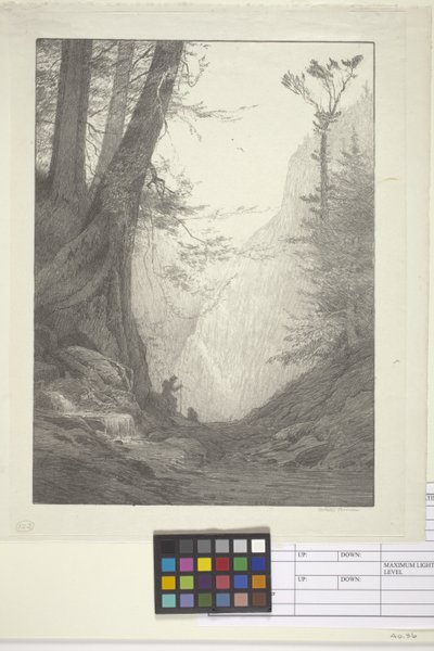 Isot setrit (muste paperille, litografia) tekijältä Bolton Coit Brown