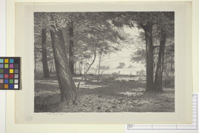 Edge Of The Woods (muste paperille) tekijältä Bolton Coit Brown