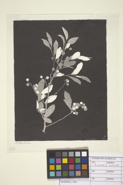 Huckleberry (muste paperille) tekijältä Bolton Coit Brown