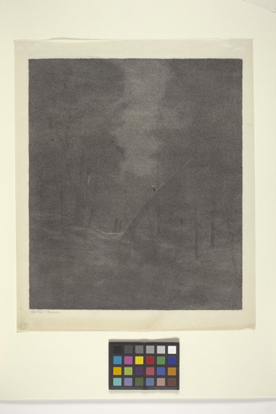 Moonlight Woods (tinta sobre papel)finlandês tekijältä Bolton Coit Brown