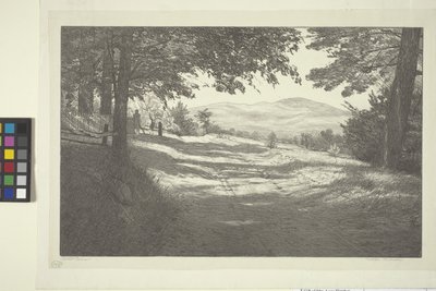 North View (muste paperille) tekijältä Bolton Coit Brown