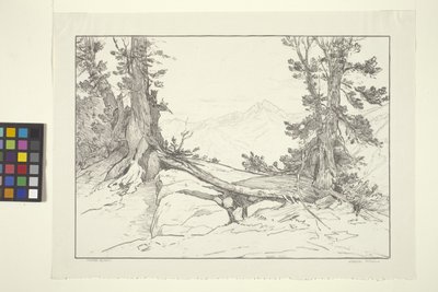 Sierra Pines (muste paperille) tekijältä Bolton Coit Brown