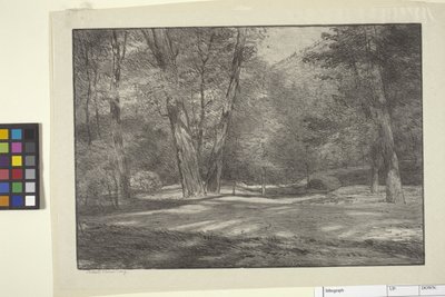 Sierra Woods (muste paperille) tekijältä Bolton Coit Brown